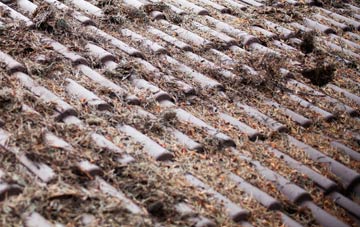 Woldingham Garden Village roof cleaning companies