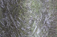 Woldingham Garden Village fibreglass roof work